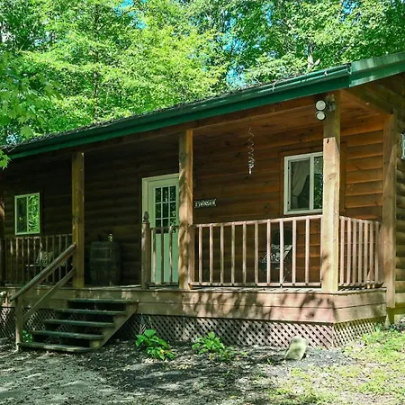 A Beary Cozy Cabin In Hocking Hills
